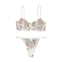 Flower Sheer Bra Sexy Embroidery See-through Low Waist See-through Sexy Lingerie main image 4