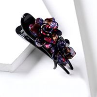 Vintage Style Color Block Flower Leopard Arylic Polishing Hair Claws sku image 2