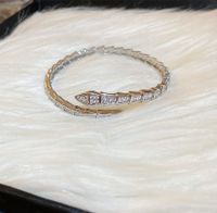 Fashion Square Snake Copper Zircon Bangle In Bulk sku image 38