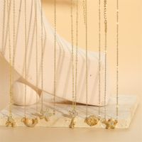 Simple Style Streetwear Moon Starfish Stainless Steel Copper 14k Gold Plated Zircon Pendant Necklace In Bulk main image 1