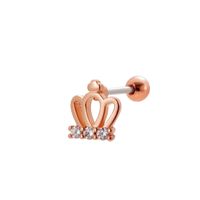1 Piece Ear Cartilage Rings & Studs Simple Style Classic Style Crown Dragonfly Butterfly 316 Stainless Steel  Copper Plating Inlay Zircon sku image 12