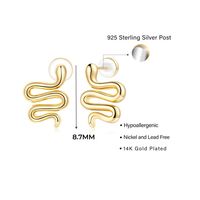 1 Pair Simple Style Shiny Hexagram Devil's Eye Snake Plating Inlay Copper Zircon 14k Gold Plated Ear Studs main image 7