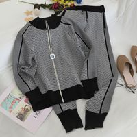 Women's Casual Spiral Stripe Knitted Fabric Rib-knit Pants Sets main image 2