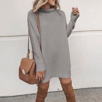 Women's Regular Dress Fashion High Neck Long Sleeve Solid Color Above Knee Daily main image 7