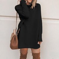Women's Regular Dress Fashion High Neck Long Sleeve Solid Color Above Knee Daily main image 6