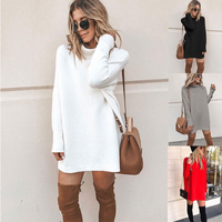 Women's Regular Dress Fashion High Neck Long Sleeve Solid Color Above Knee Daily main image 8