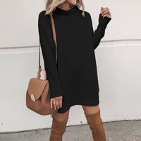 Women's Regular Dress Fashion High Neck Long Sleeve Solid Color Above Knee Daily main image 2