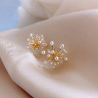 Retro Flower Copper Inlay Zircon Drop Earrings Ear Studs 1 Pair sku image 45