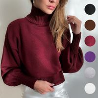 Women's Sweater Long Sleeve Sweaters & Cardigans British Style Solid Color main image 1