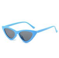 Basic Lady Simple Style Solid Color Pc Cat Eye Full Frame Women's Sunglasses sku image 2