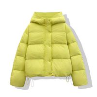 Women's Simple Style Solid Color Single Breasted Zipper Coat Cotton Clothes main image 4