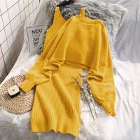 Outdoor Daily Women's Simple Style Simple Solid Color Cotton Knit Skirt Sets Skirt Sets main image 3