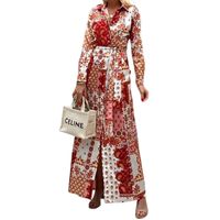 Women's Shirt Dress Simple Style Shirt Collar Printing Long Sleeve Color Block Maxi Long Dress Travel Selfie main image 2