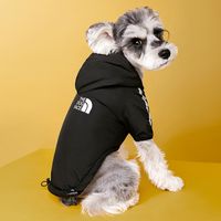 Casual Polyester Letter Pet Clothing sku image 4