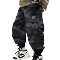 Sports Camouflage Polyester Boys Pants main image 2