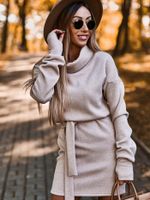 Women's Sweater Dress Fashion Turtleneck Long Sleeve Solid Color Above Knee Street sku image 14