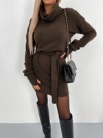 Women's Sweater Dress Fashion Turtleneck Long Sleeve Solid Color Above Knee Street sku image 7