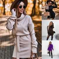 Women's Sweater Dress Fashion Turtleneck Long Sleeve Solid Color Above Knee Street main image 6