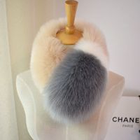 Women's Simple Style Color Block Fox Fur Scarf main image 1