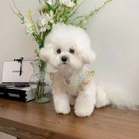 Casual Cotton Color Block Pet Clothing sku image 3