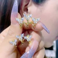 1 Pair Casual Glam Simple Style Moon Butterfly Bird Plating Inlay Alloy Rhinestones 14k Gold Plated Ear Studs main image 9