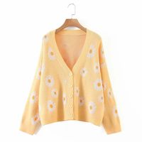 Women's Sweater Long Sleeve Sweaters & Cardigans Printing Casual Daisy main image 5