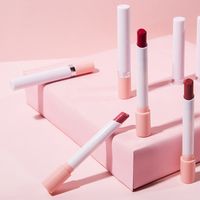 Simple Style Geometry Color Matching Plastic Lipstick main image 1