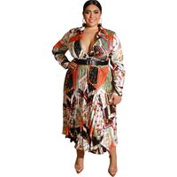 Regular Dress Elegant Sexy Turndown Pleated Pleated Long Sleeve Printing Midi Dress Street main image 4