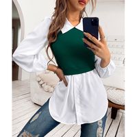 Women's Blouse Long Sleeve Blouses 2 In 1 Button Simple Style Color Block main image 2