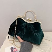 Women's Velvet Cloth Leaves Vintage Style Classic Style Embroidery Square Clipped Button Handbag main image 5