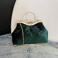 Women's Velvet Cloth Leaves Vintage Style Classic Style Embroidery Square Clipped Button Handbag sku image 3