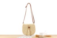 Femmes Petit Paille Couleur Unie Style Vintage Style Classique Fermeture Éclair Sac De Paille main image 7