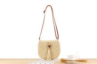 Women's Small Straw Solid Color Vintage Style Classic Style Zipper Straw Bag main image 7