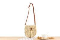 Women's Small Straw Solid Color Vintage Style Classic Style Zipper Straw Bag main image 6