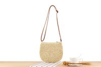 Femmes Petit Paille Couleur Unie Style Vintage Style Classique Fermeture Éclair Sac De Paille main image 4