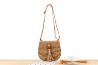 Femmes Petit Paille Couleur Unie Style Vintage Style Classique Fermeture Éclair Sac De Paille main image 3