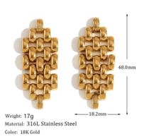 1 Pair Vacation French Style Modern Style Chain Stainless Steel 18K Gold Plated Drop Earrings main image 2