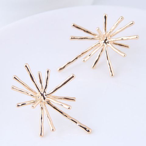 Boutique Korean Fashion Metal Simple Exaggerated Temperament Earrings