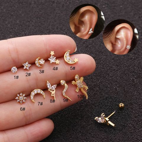 Ear Cartilage Rings & Studs Ethnic Style Animal 316 Stainless Steel  Copper