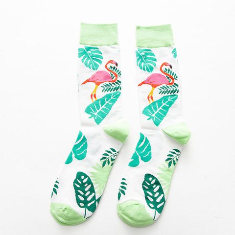 Europe And The United States Trend Cartoon Flaming Bird Men's Skateboard Cotton Socks Wholesale