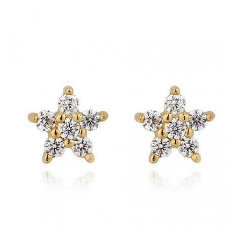 925 Silver Needle Stars Inlaid Zircon Flower Earrings Five-pointed Star Copper Earrings Women