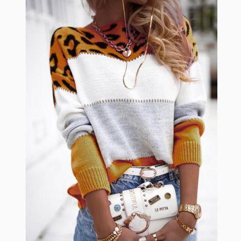 Sweater Long Sleeve Sweaters & Cardigans Casual Color Block Leopard