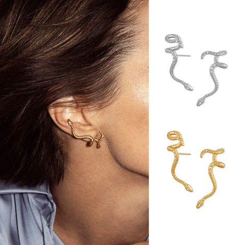 Fashion Snake Dragon Alloy Plating Women's Earrings Ear Hook 1 Piece 1 Pair