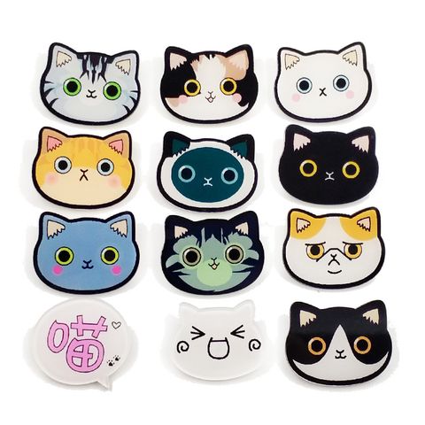 Cartoon Style Animal Arylic Plating Unisex Brooches