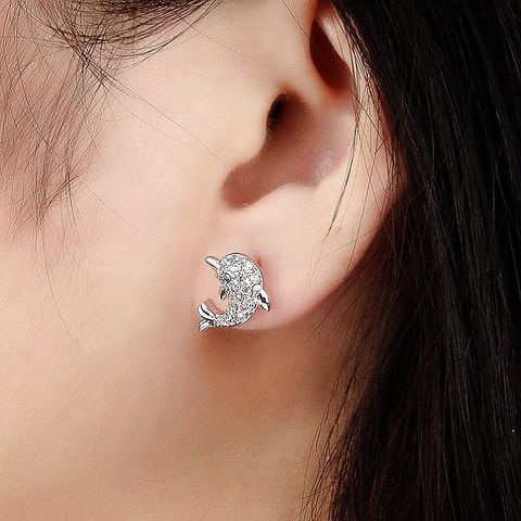 Exquisite And Small Rhinestone Dolphin Ear Studs