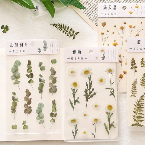 Flower Series Plant Material Hand Account Diy Special-shaped Decoration Pet Sticker
