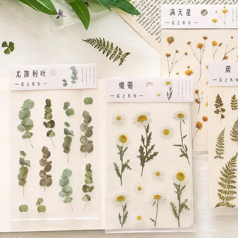 Flower Series Plant Material Hand Account Diy Special-shaped Decoration Pet Sticker