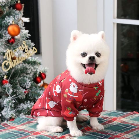 Casual Polyester Cartoon Pet Clothing