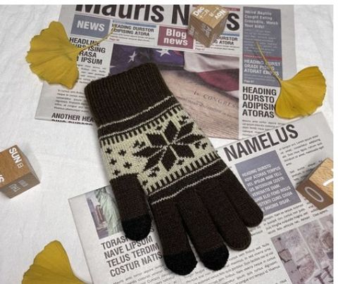 Women's Simple Style Color Block Gloves 1 Pair