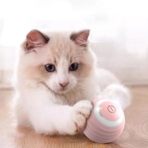 Simple Style Silica Gel Solid Color Pet Toys